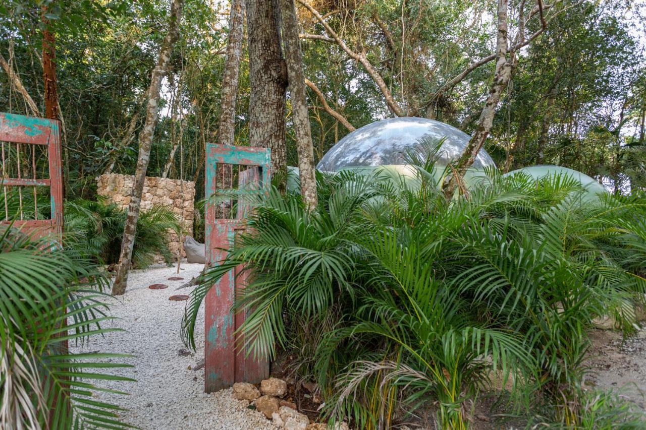 Oom Bubble Boutique Riviera Cancun - Adults Only Puerto Morelos Exterior foto